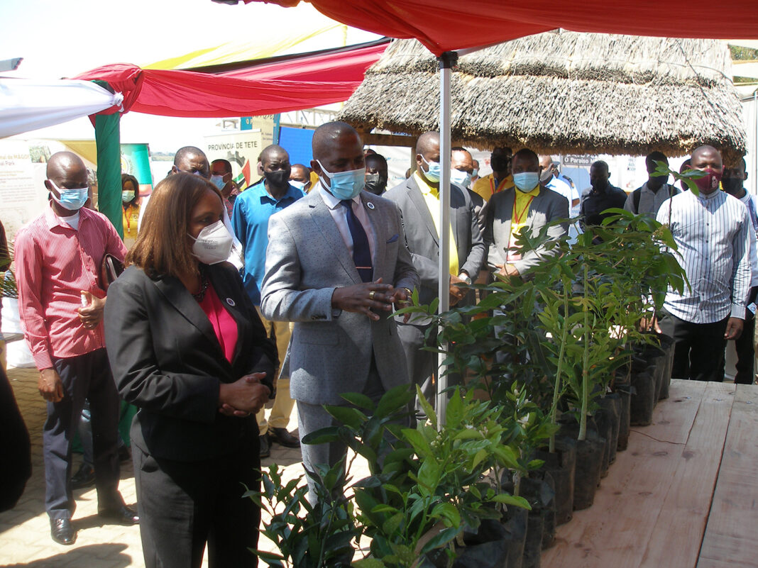 <strong>Tete oferece 1.6 milhão de hectares aos investidores</strong>